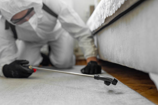 Professional Termite Control technician working in Dallas County County, AL